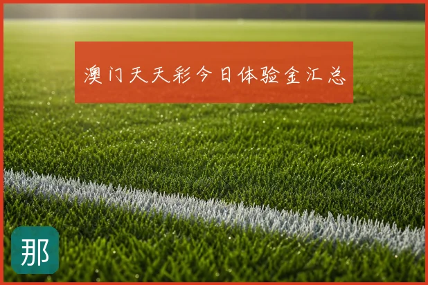 澳门天天彩今日体验金汇总